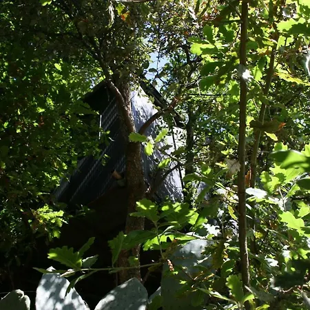La Casa Sull'albero Camping