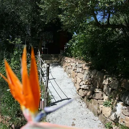 La Casa Sull'albero Camping
