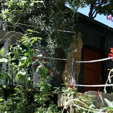 La Casa Sull'albero Camping *