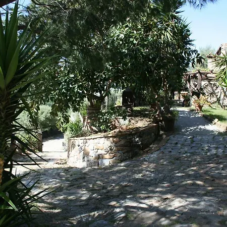 Camping La Casa Sull'albero *