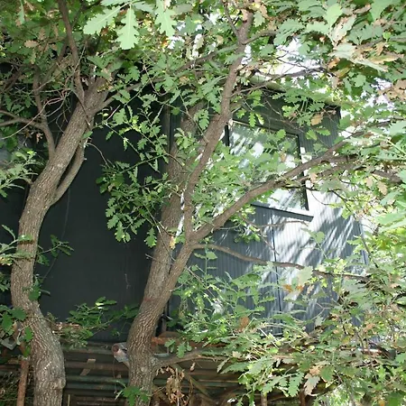 La Casa Sull'albero Camping