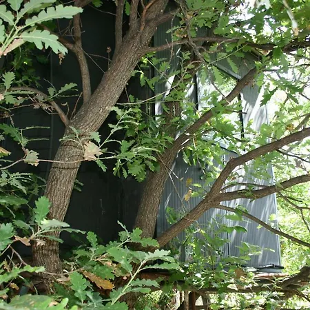 Camping La Casa Sull'albero